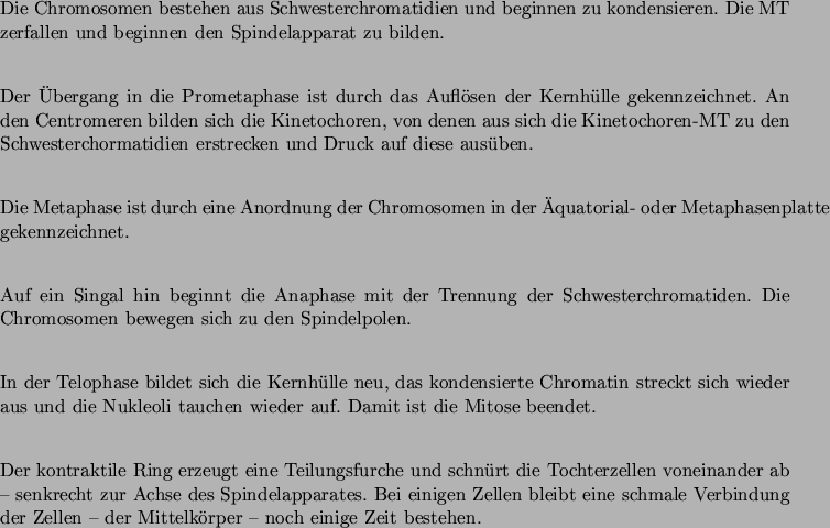 \begin{entry}
\item [Prophase] \mbox{} \\
Die Chromosomen bestehen aus Schwes...
...ndung der Zellen -- der Mittelkrper -- noch einige Zeit
bestehen.
\end{entry}